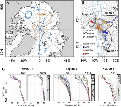 Sea Ice and Water Mass Influence Dimethylsulfide Concentrations in the Central Arctic Ocean
